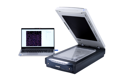 大米外观品质检测仪：确保粮食质量的高科技助手