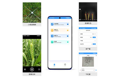 小麦亩穗数检测仪IN-XM01