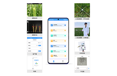 小麦亩穗数检测仪IN-XM05
