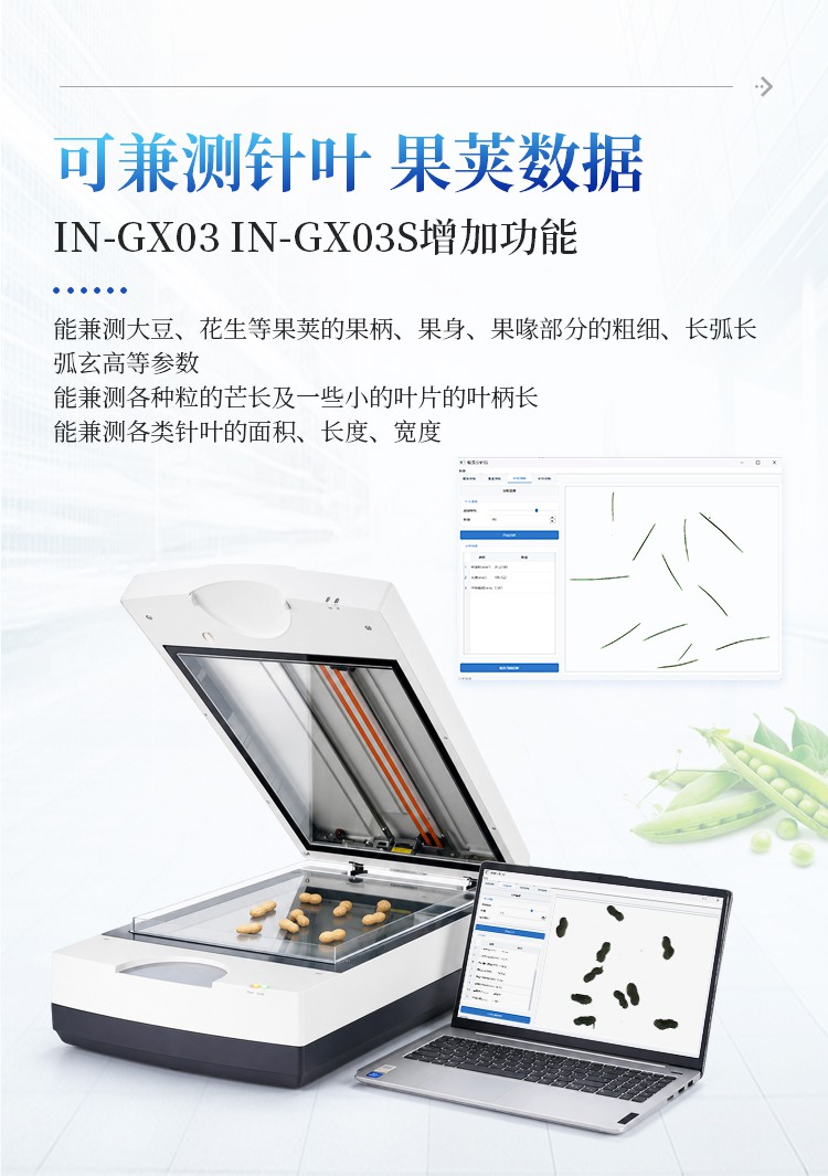 详情_05.jpg