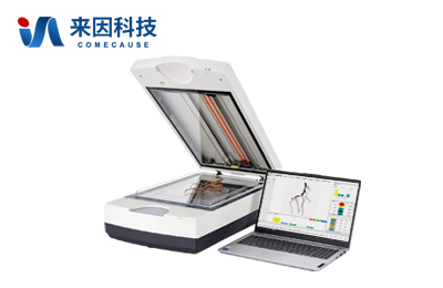 根系分析仪IN-GX02S