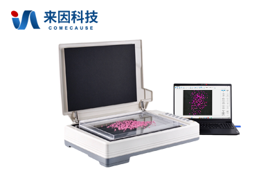 大米加工精度检测仪IN-DMJ